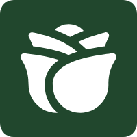 Surgical Disposables