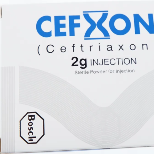 1770914421416-019c52b8-d9fd-7166-ac2d-c0335f6fc41a