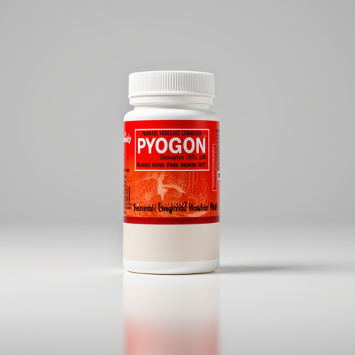 1770914942355-019c52c1-5731-7cc4-9091-49db9048f2e2