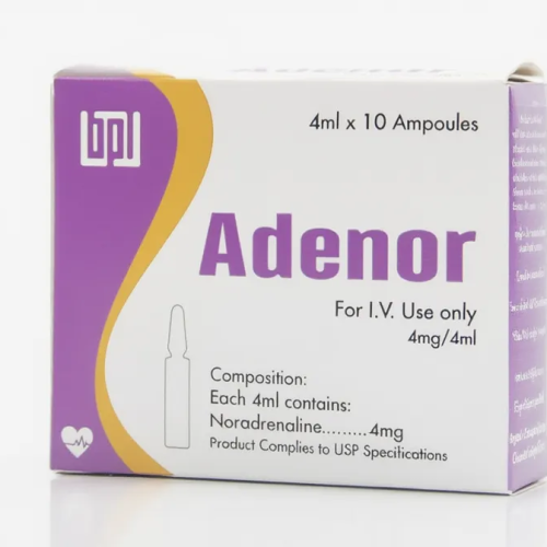 1770915373503-019c52c7-90bb-7166-b4e4-f9c41ff7c3a7